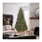 9 ft. Pre-Lit Dunhill® Fir Medium Profile Artificial Christmas Tree, Clear Lights